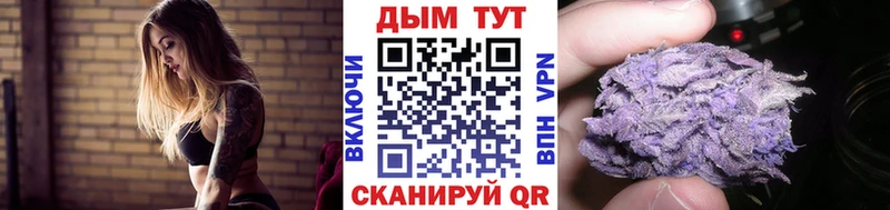 дарнет шоп  Моршанск  Каннабис SATIVA & INDICA 